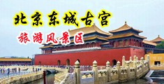 激情视是频啊啊啊啊啊不中国北京-东城古宫旅游风景区