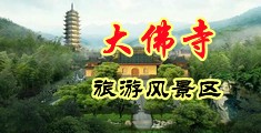 啊啊啊啊免费网站中国浙江-新昌大佛寺旅游风景区